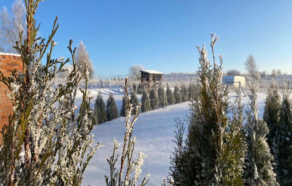 Feriehuse - Piszewo , Polen - PMA898 20