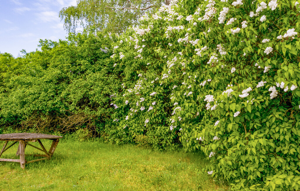 Lejlighed - Zyndaki , Polen - PMA082 8