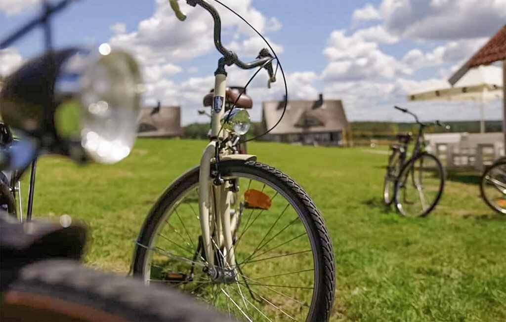 Geniet van de Masurische idylle in deze stijlvolle vakantiewoning met een prachtige gemeenschappelijke tuin.

Verheug je op een ontspannen vakantie met je gezin in een prachtige omgeving. De flat bied..