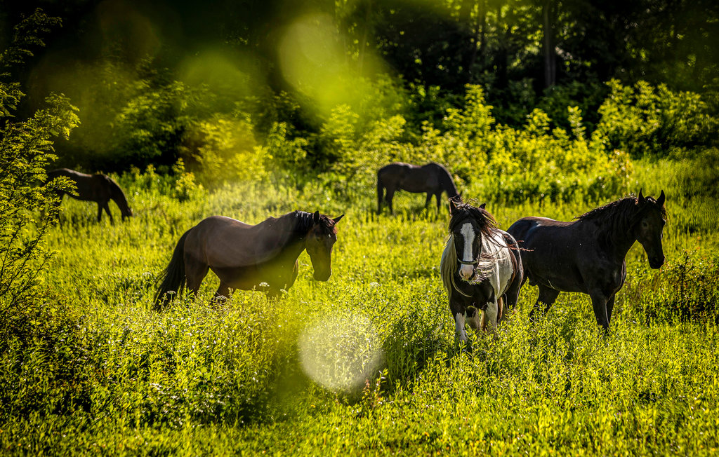Lejlighed - Busko Zdroj , Polen - PPG112 9