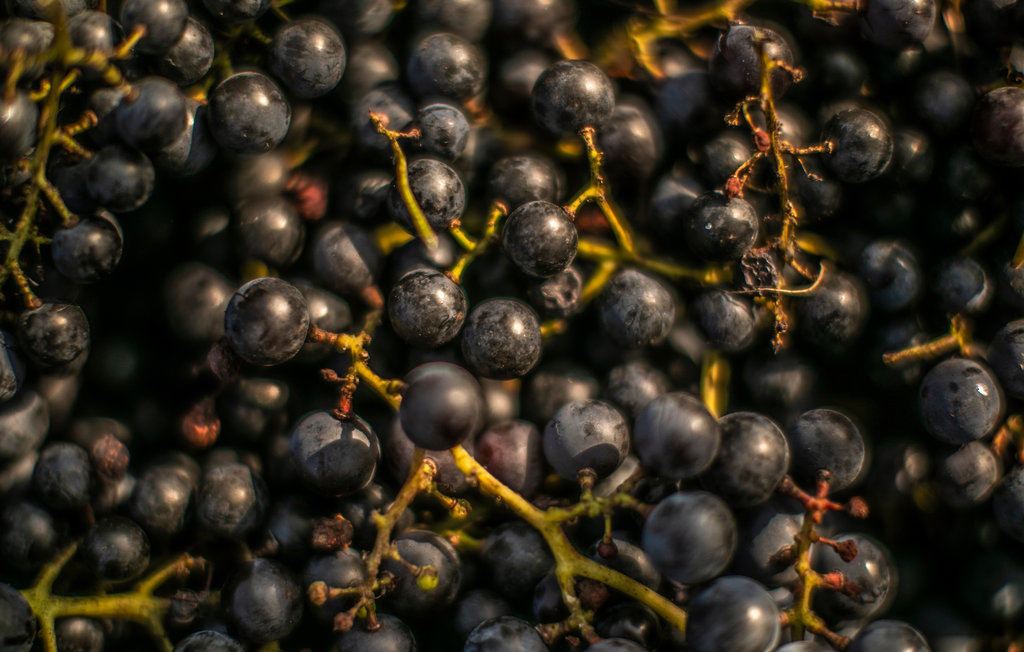 Lejlighed - Busko Zdroj , Polen - PPG112 19