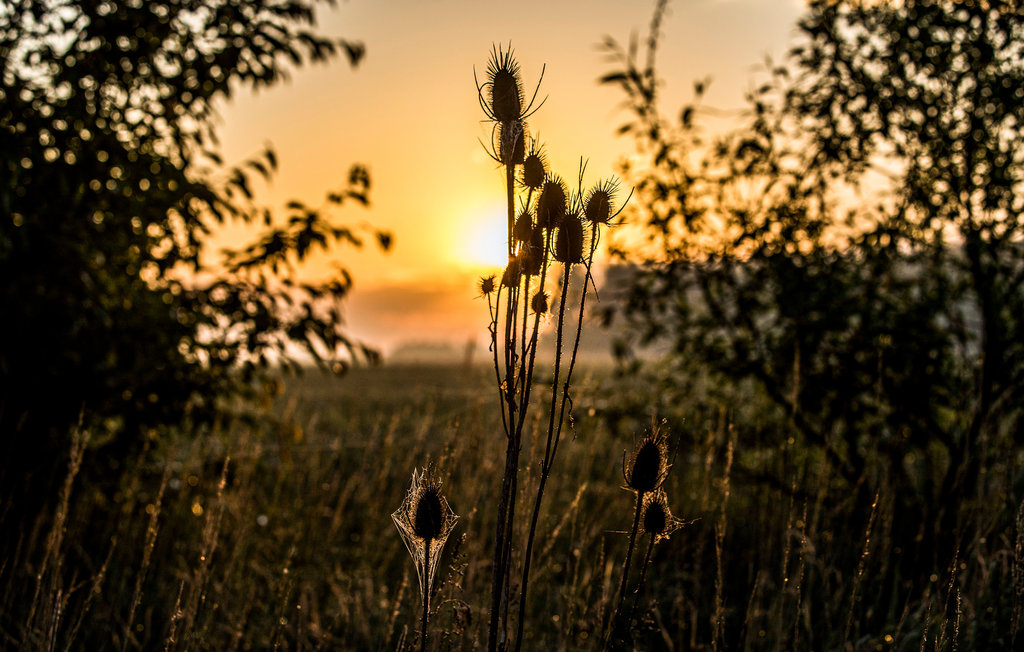 Lejlighed - Busko Zdroj , Polen - PPG112 17