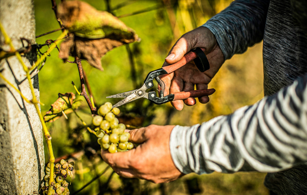 Lejlighed - Busko Zdroj , Polen - PPG112 14