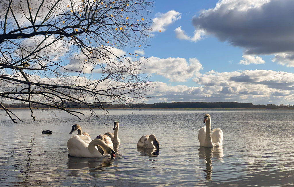 Semesterhus - Kobylanka , Polen - PPL001 18