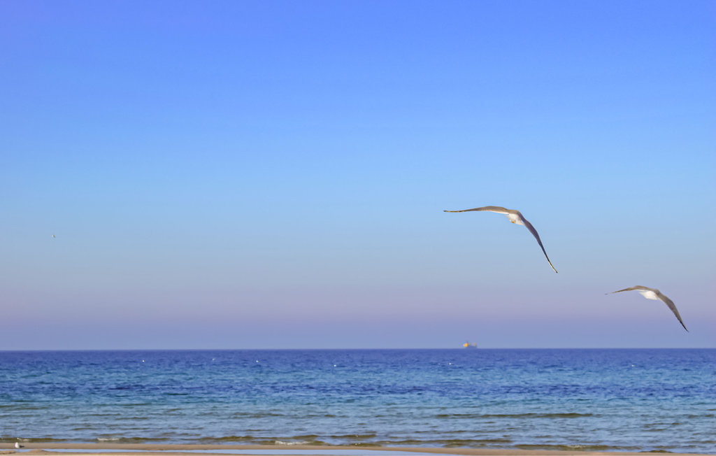 Feriehuse - Jaroslawiec , Polen - PPL134 19