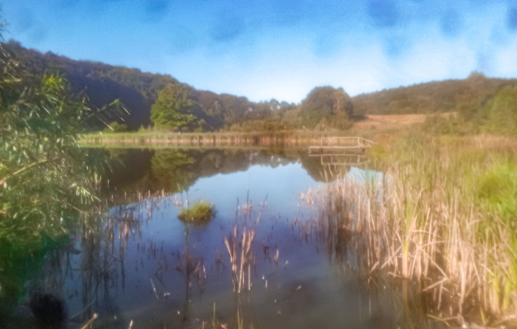 Feriehuse - ZELAZO , Polen - PPL201 8