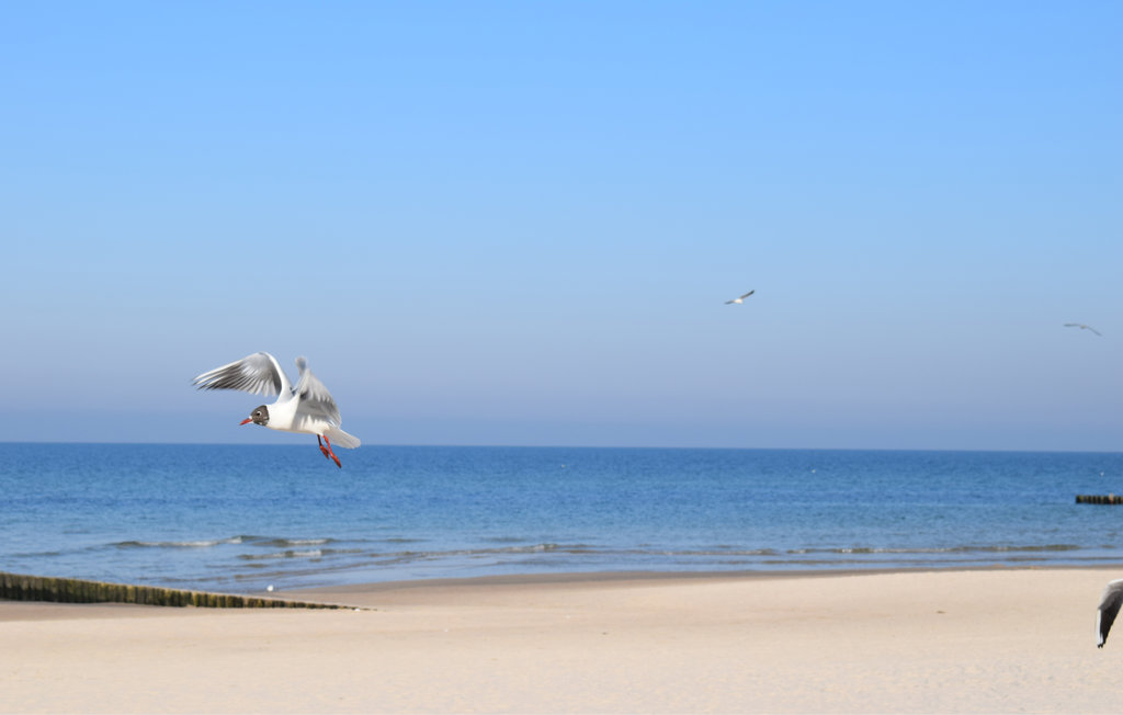 Lejlighed - Pogorzelica , Polen - PPL108 21