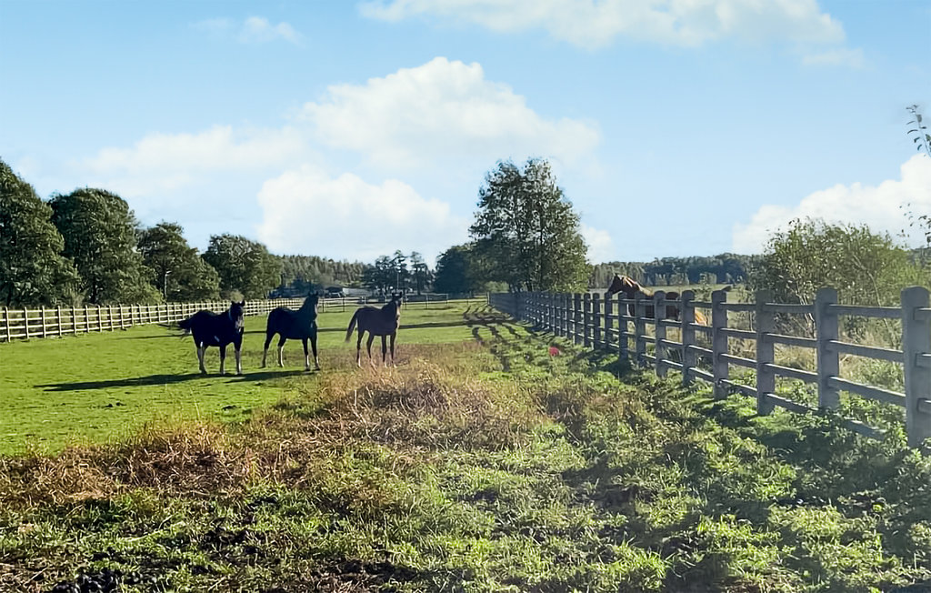 Ferienwohnung - Leba , Polen - PPL205 17