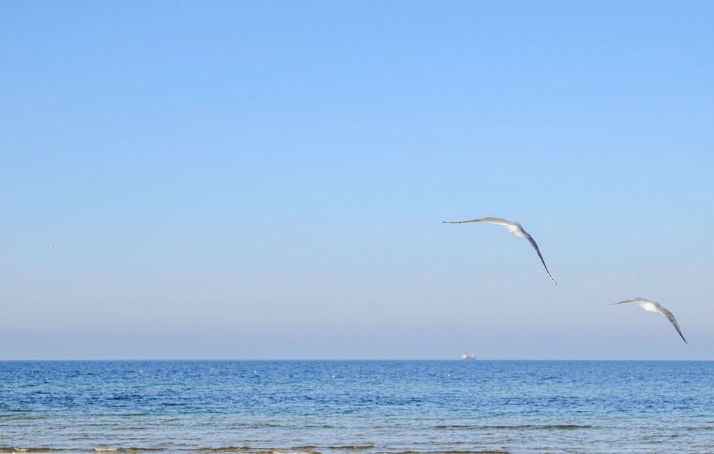 Lejlighed - Jaroslawiec , Polen - PPL124 14