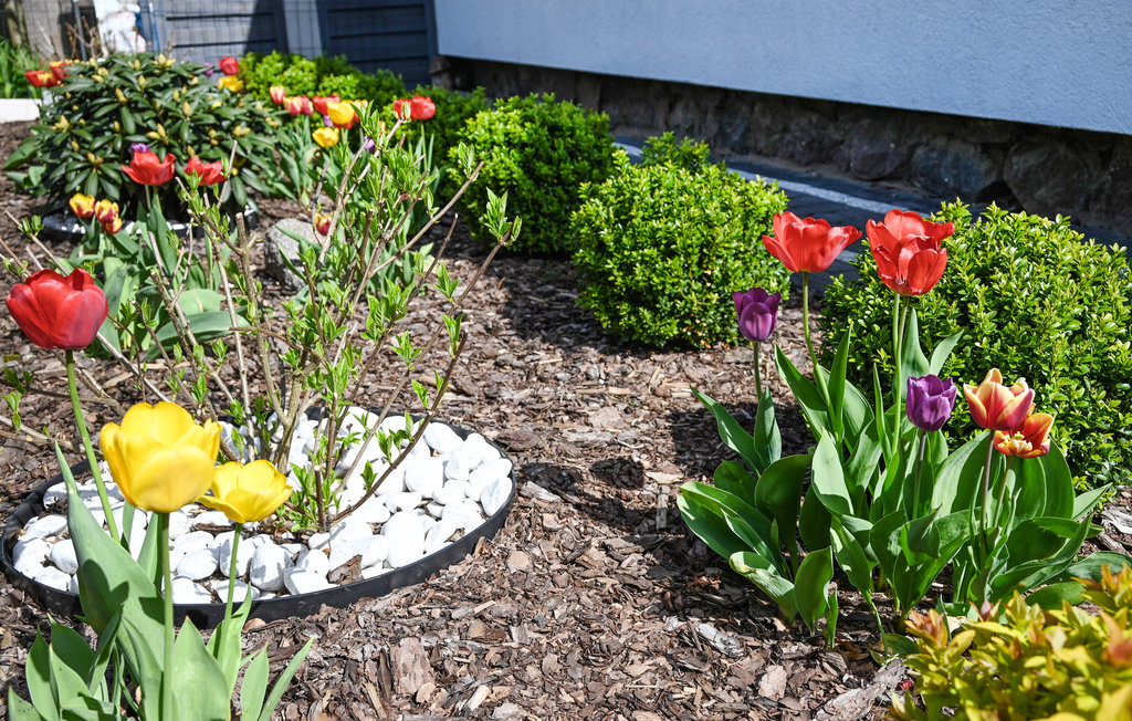 Feriehus - Choczewo , Polen - PPL110 18