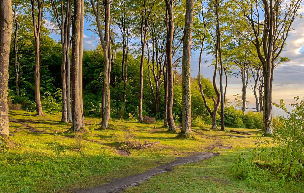 Ferienwohnung - Rowy , Polen - PPL224 8