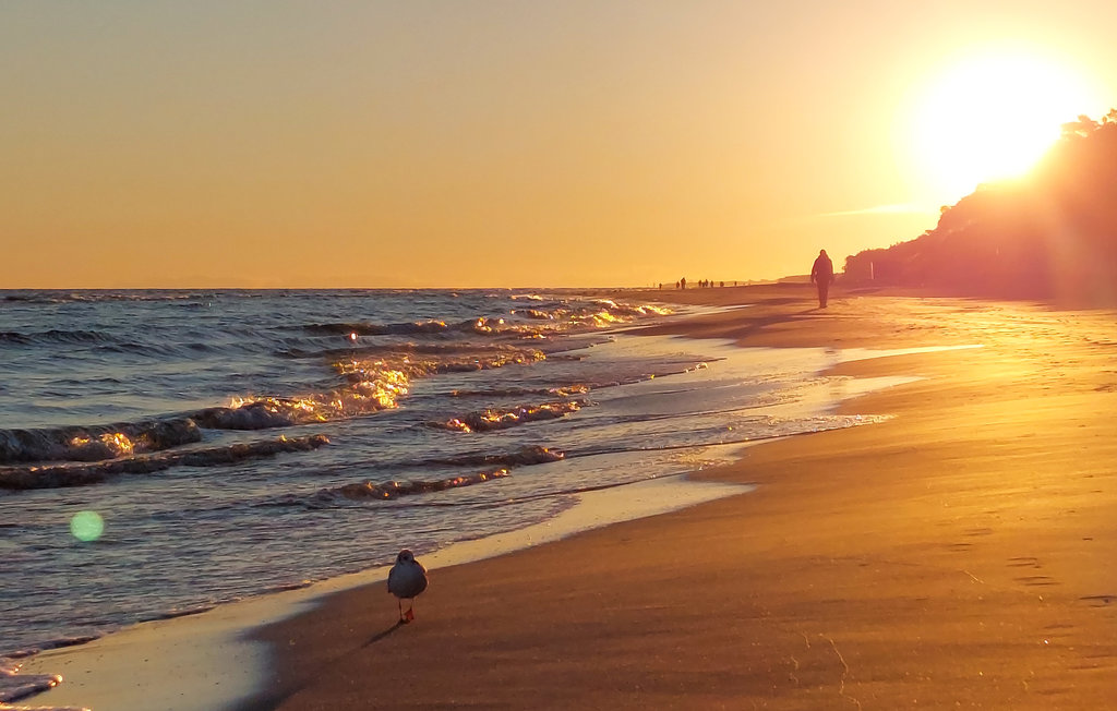 Feriehuse - Sarbinowo , Polen - PPL061 7