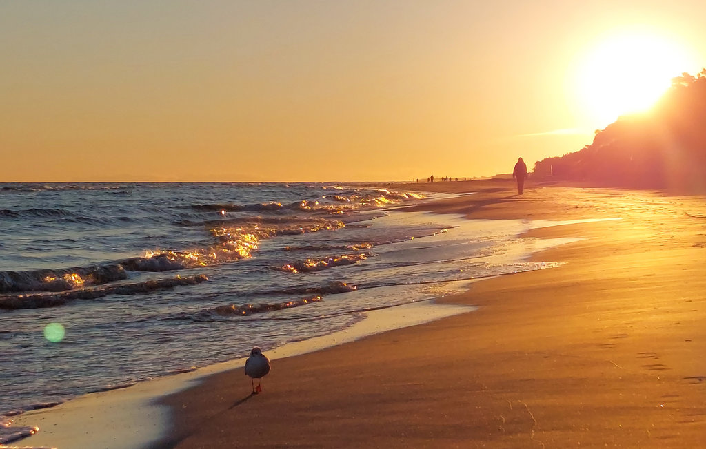 Feriehuse - Sarbinowo , Polen - PPL062 7