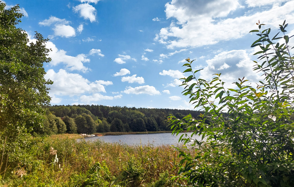 Ferienwohnung - Wiselka , Polen - PPL514 7