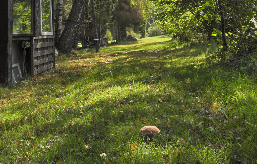 Ferienwohnung - Sowienski Mlyn , Polen - PPL318 6