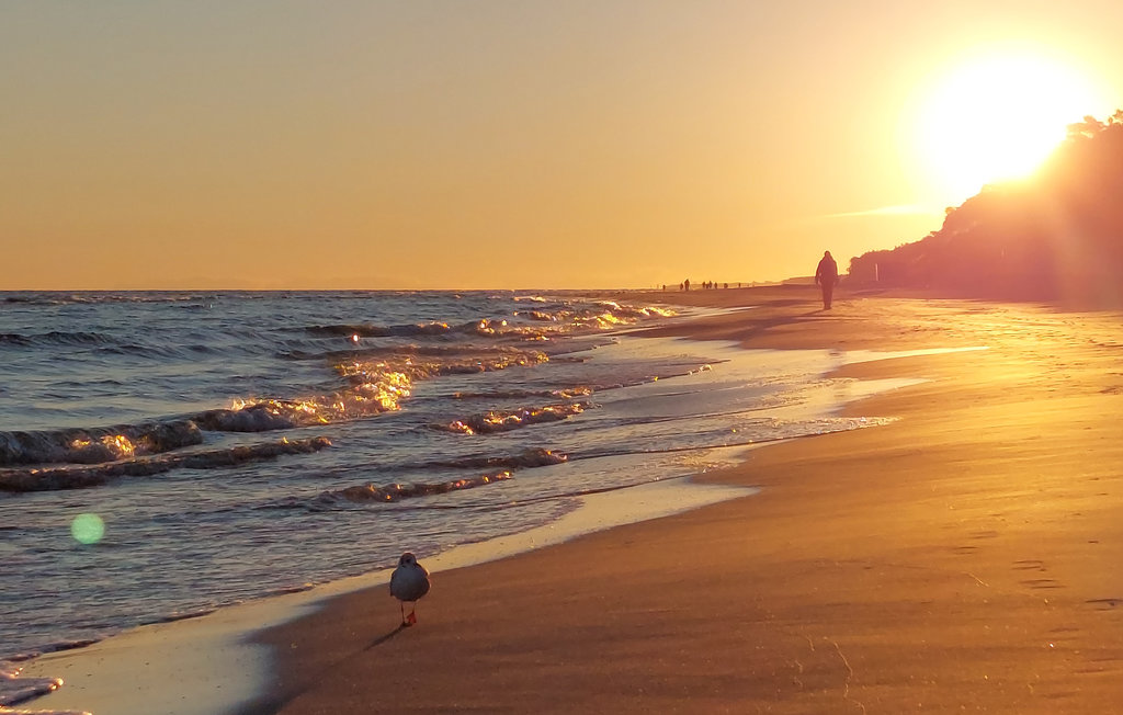 Ferienhaus - Jantar , Polen - PPL035 11