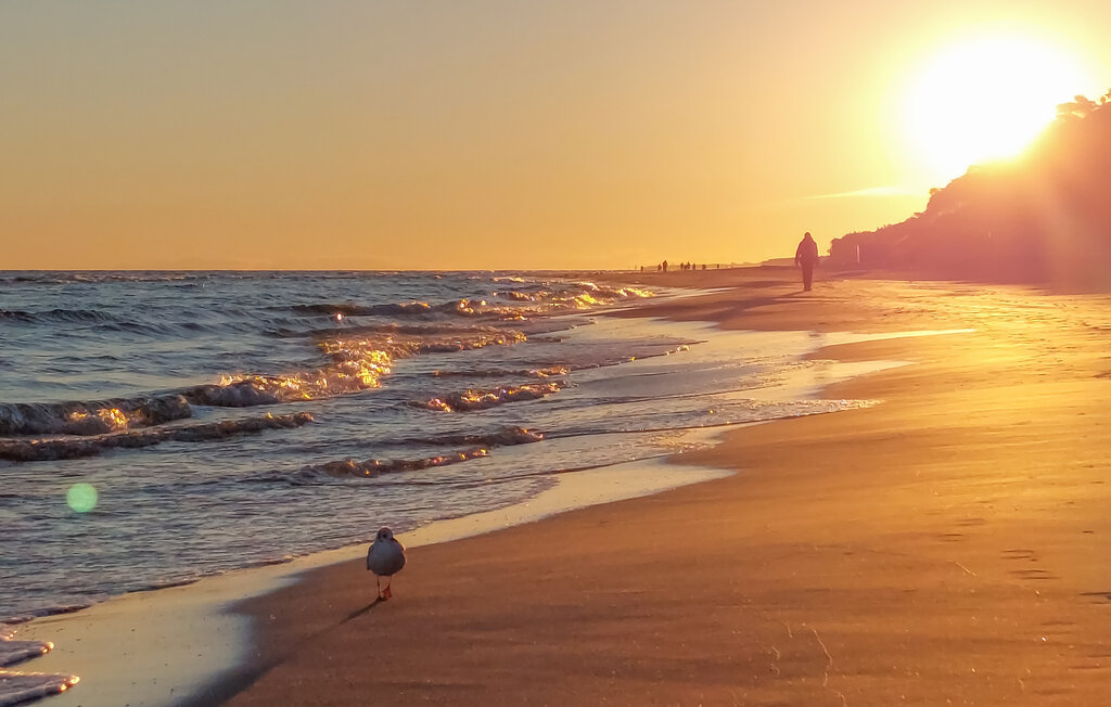 Lejlighed - Grzybowo , Polen - PPL077 12