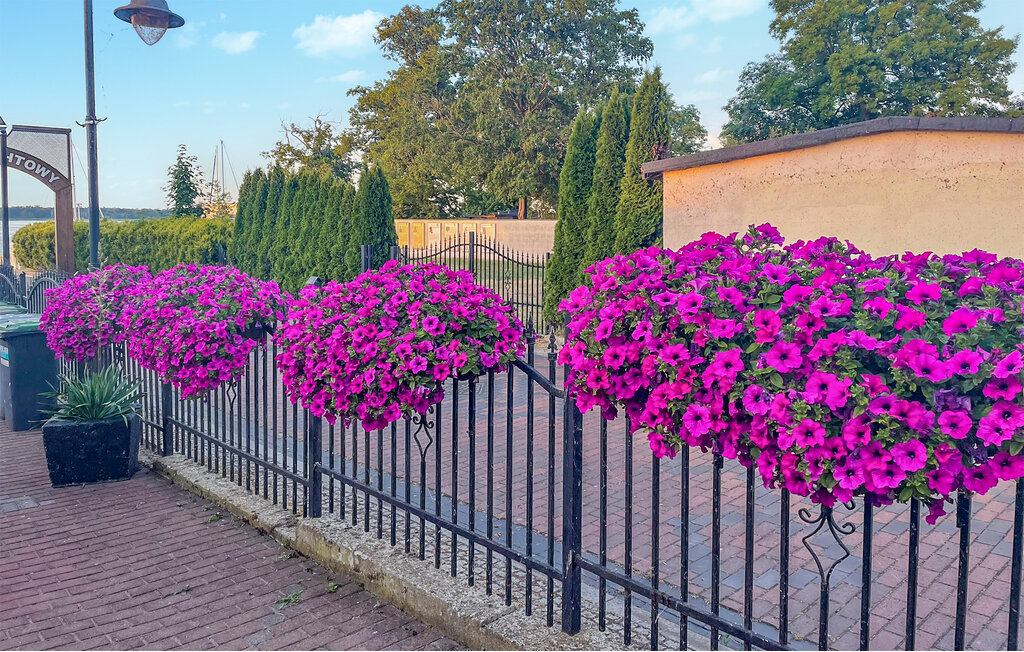 Lejlighed - Nowe Warpno , Polen - PPL777 15