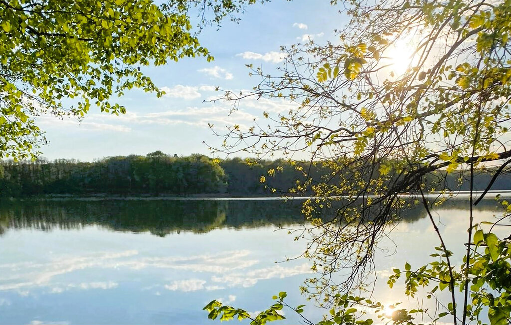 Domy wakacyjne - Kwidzyn , Polska - PPL288 12