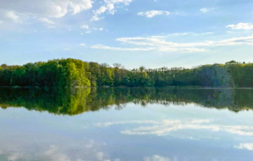 Domy wakacyjne - Kwidzyn , Polska - PPL288 6