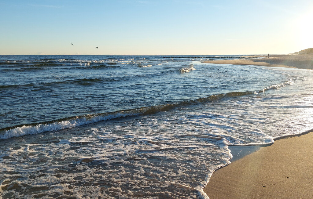 Kuća-za-odmor - Rogowo , Poljska - PPL303 20