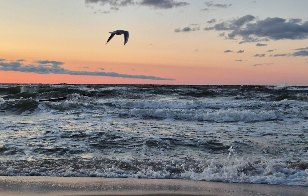 Ferienhaus - Sarbinowo , Polen - PPL502 8
