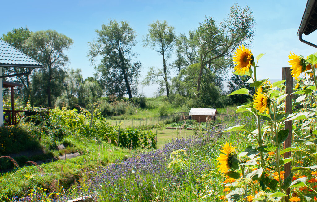 Feriehus - Wolin , Polen - PPL363 14
