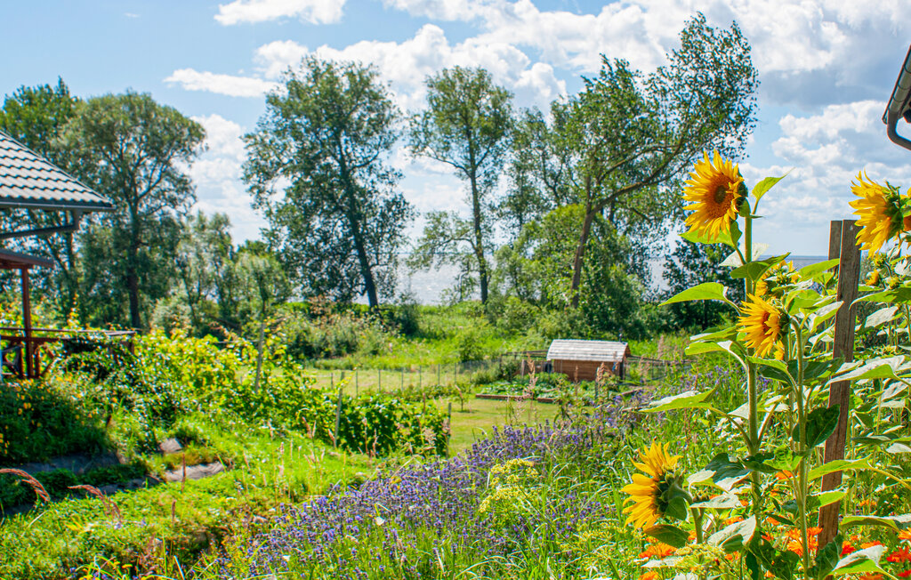 Feriehus - Wolin , Polen - PPL362 8