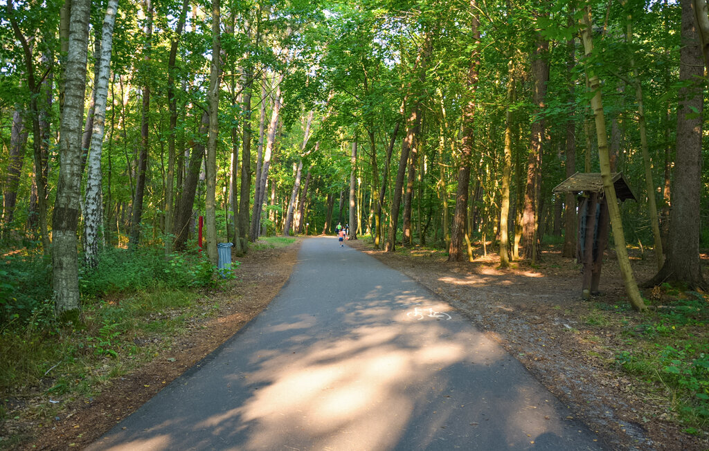 Feriehuse - Mielenko , Polen - PPL339 8