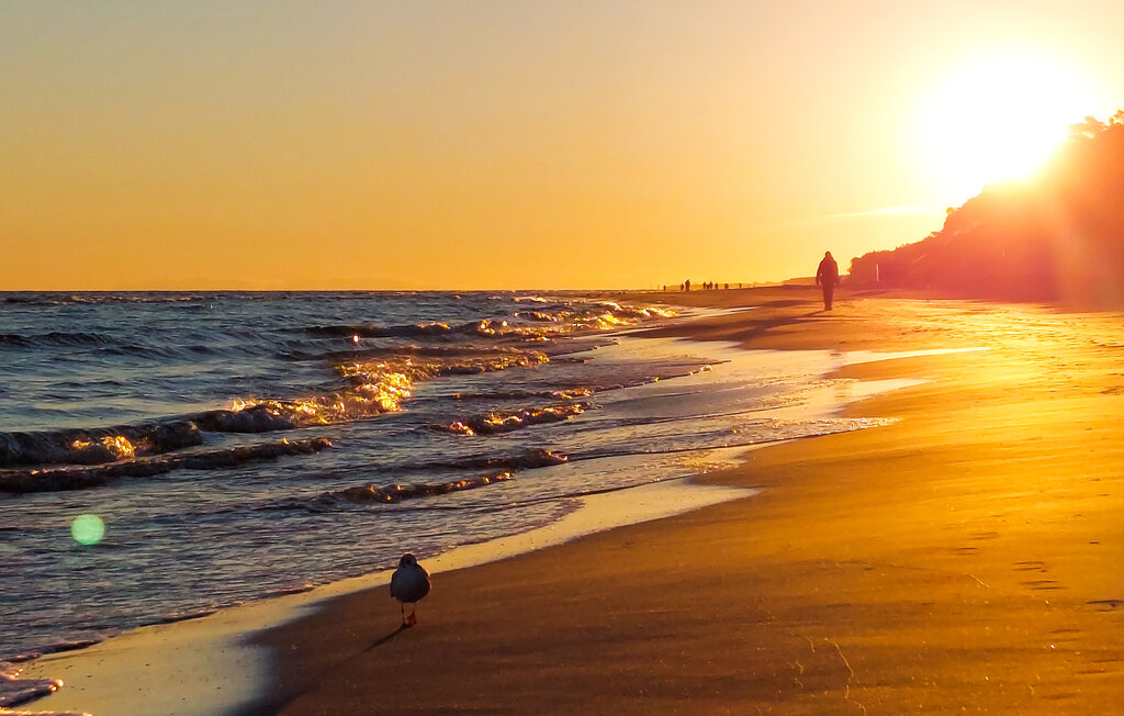 Feriehuse - Wicie , Polen - PPL510 2