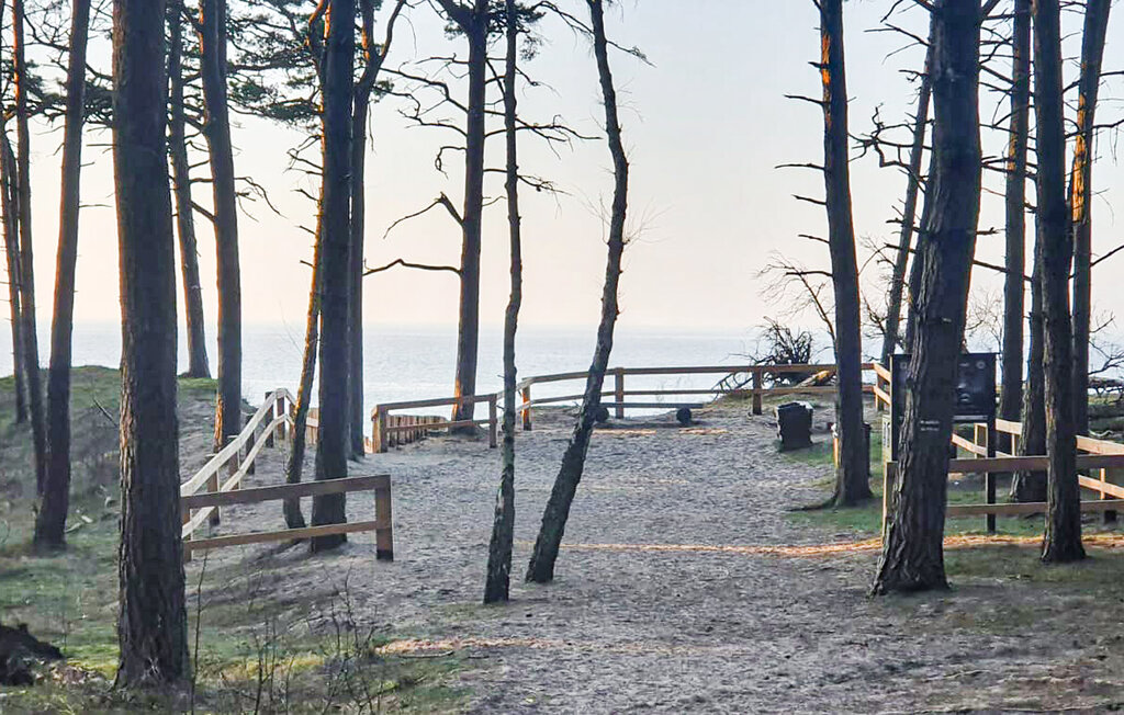 Ferienhaus - Wiselka , Polen - PPL170 18