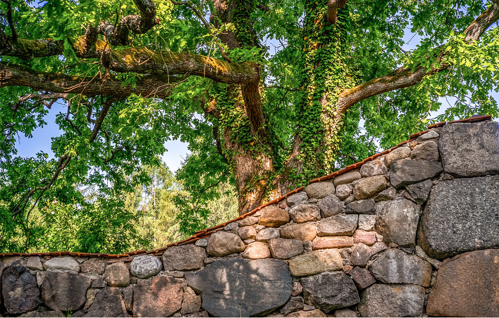 Ferienhaus - Borne Sulinowo , Polen - PPL094 22