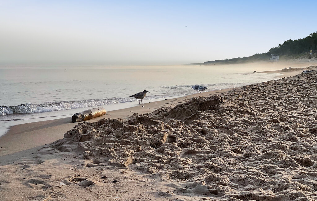 Ferienwohnung - Mielno , Polen - PPL348 19