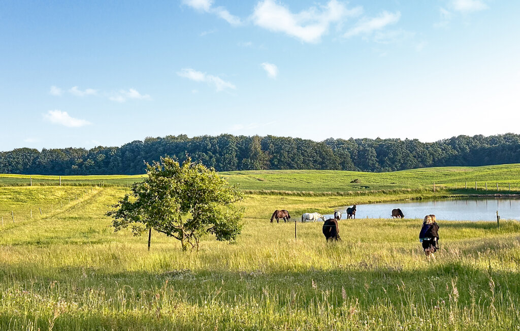 Ferienwohnung - Mielno , Polen - PPL348 18