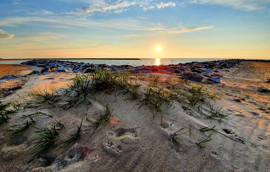 Ferienhaus - Pienkowo , Polen - PPO529 19