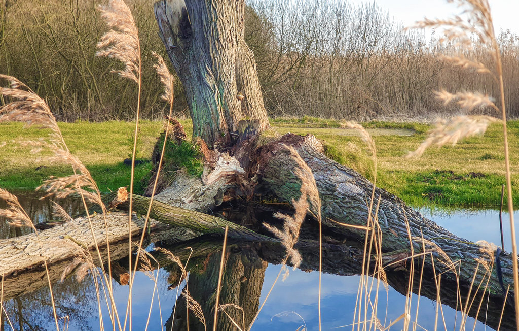 Feriehuse - Kobylanka , Polen - PPO360 37