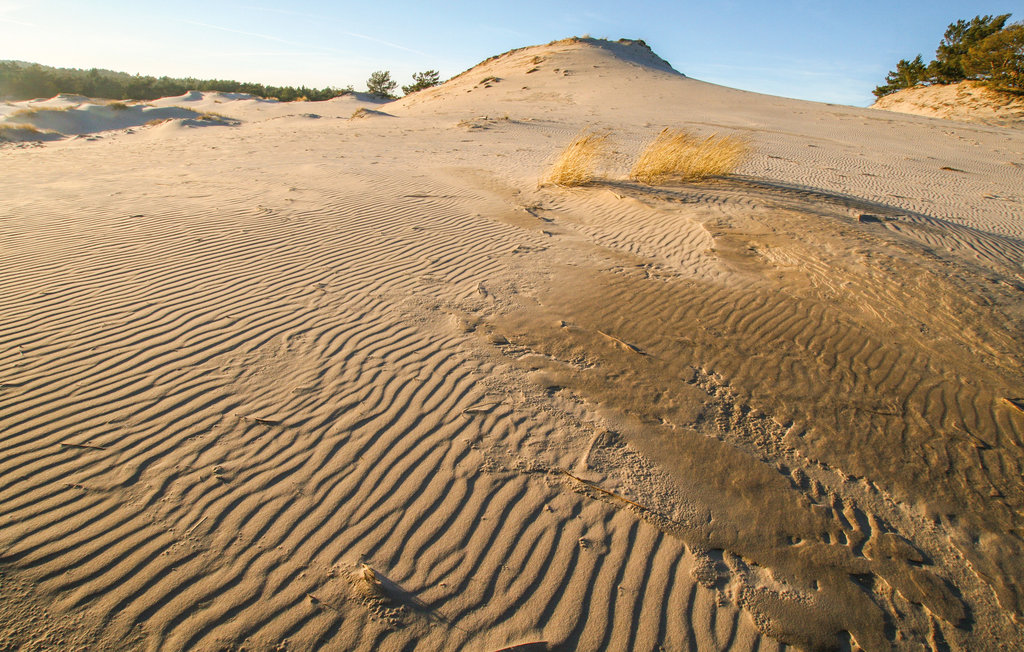 Ferienhaus - Sarbsk , Polen - PPO146 26