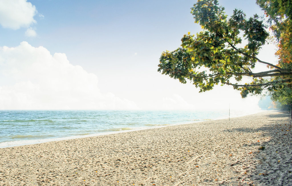 Domy wakacyjne - Gdynia , Polska - PPO169 21