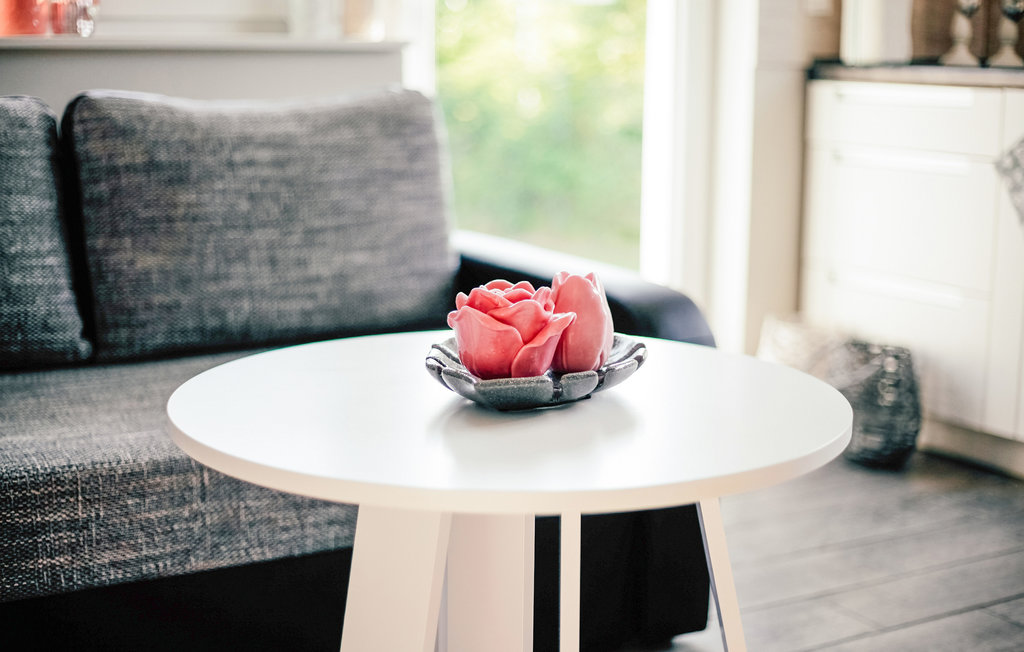 Feriehuse - DABKI-Gleznowko , Polen - PPO244 11