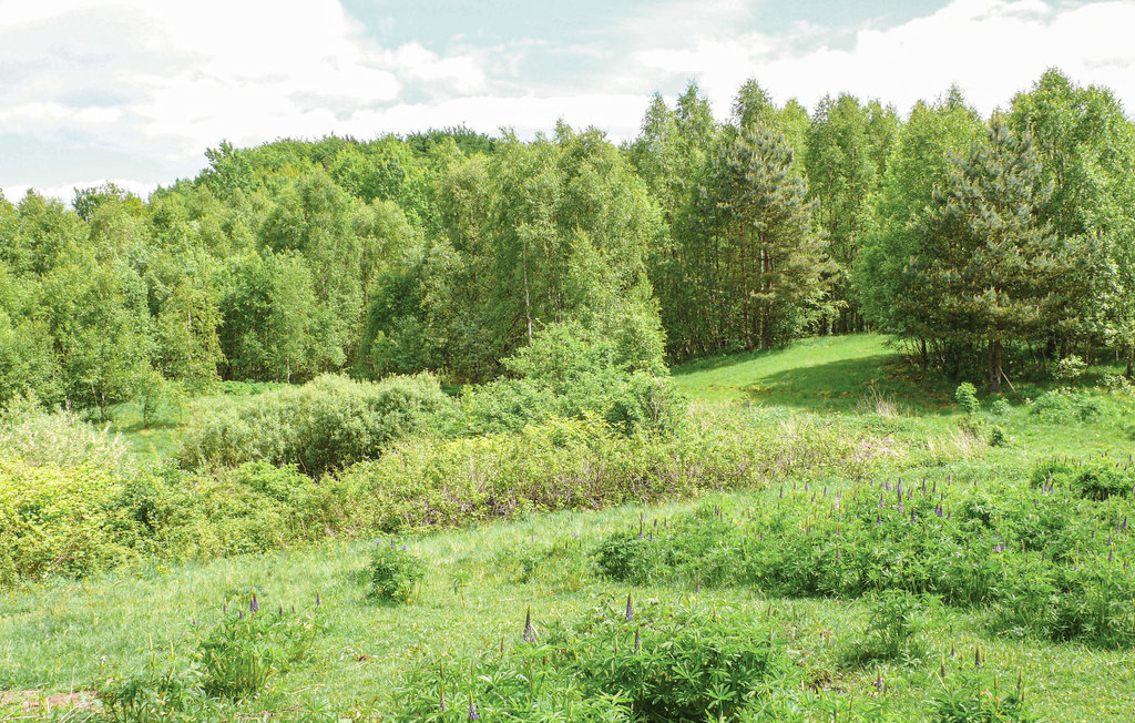 Feriehuse - Sarnikierz , Polen - PPO191 42