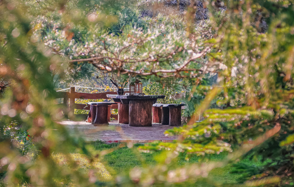 Feriehuse - Sarnikierz , Polen - PPO780 14