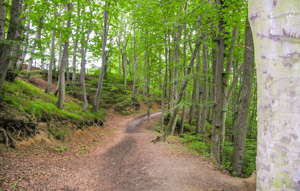 Domy wakacyjne - Gdynia , Polska - PPO169 20