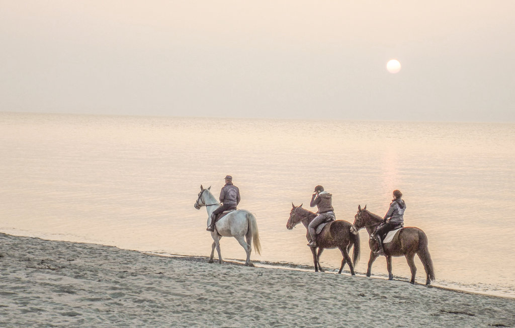 Feriehuse - Trzesacz , Polen - PPO524 2