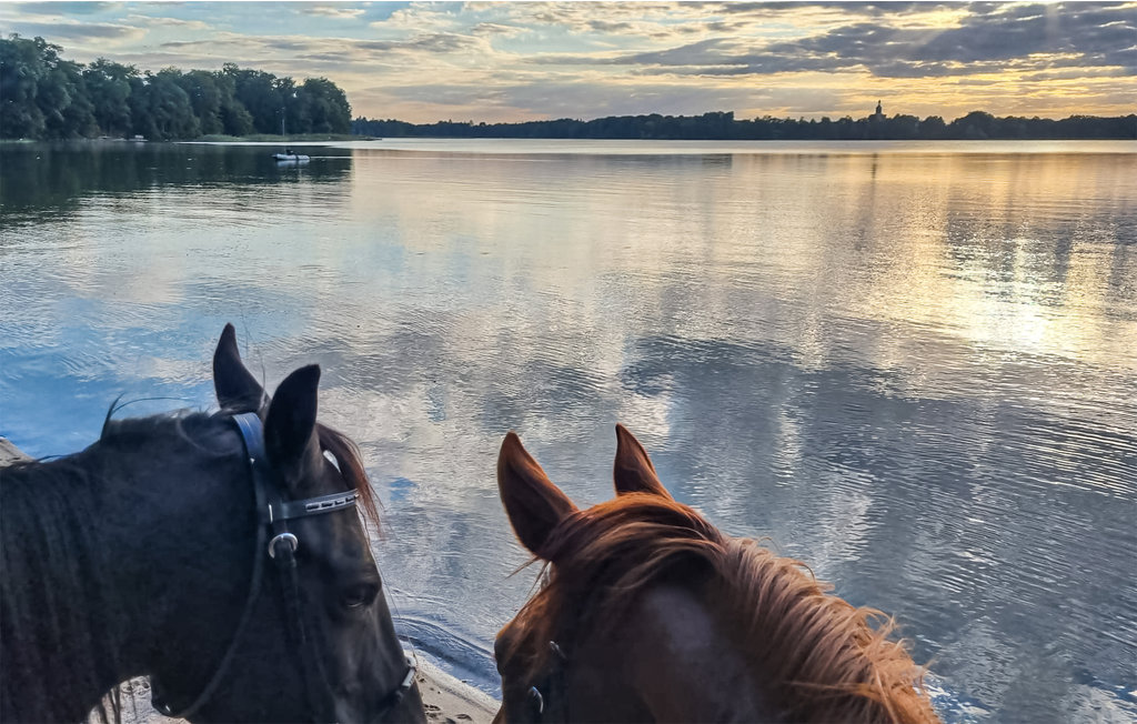 Feriehuse - Moryn , Polen - PPO889 20