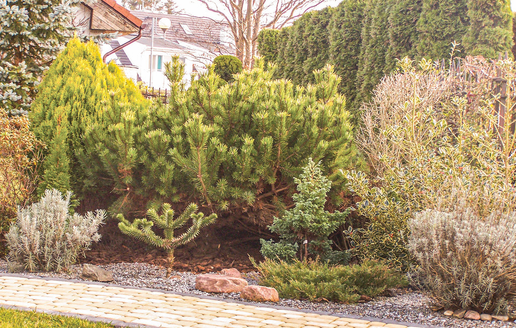 Feriehuse - Grzybowo , Polen - PPO284 11