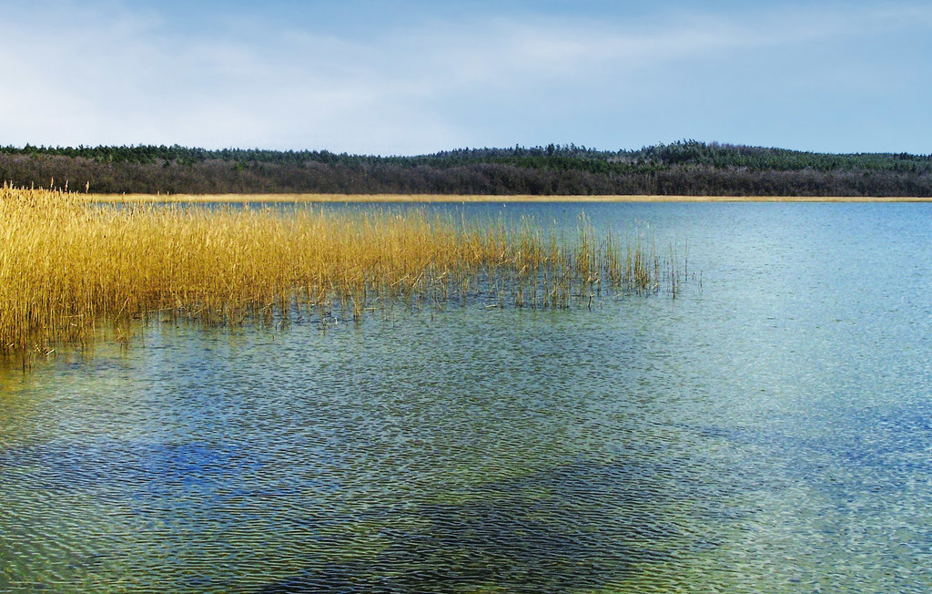 Feriehuse - Gwiazdowo , Polen - PPO404 28