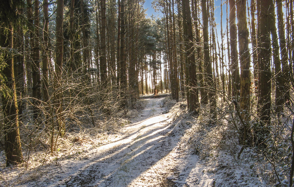 Ferienhaus - Kolczewo , Polen - PPO255 9