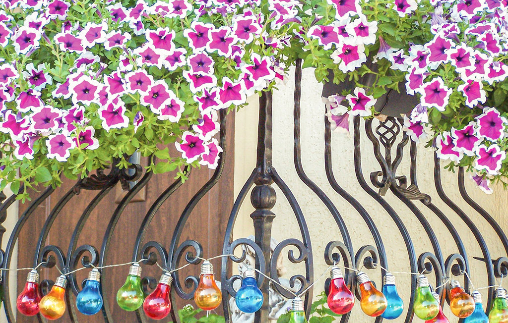 Ferienhaus - Darlowo , Polen - PPO293 8