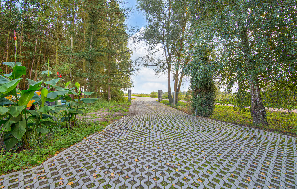 Feriehuse - Oslonka , Polen - PPO362 11