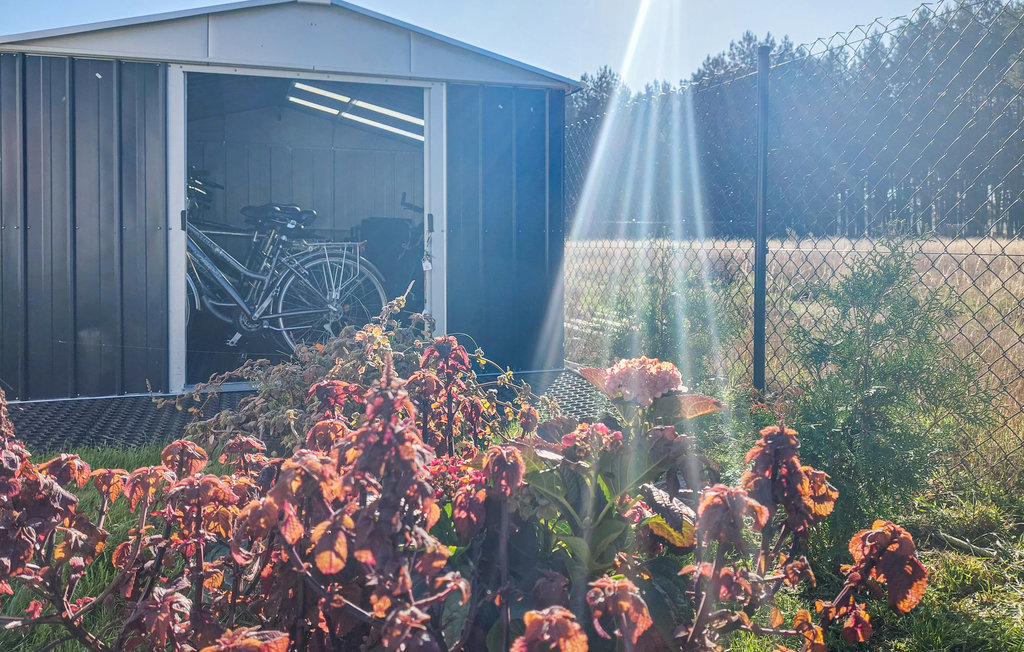 Ferienhaus - Nowe Warpno , Polen - PPO262 20